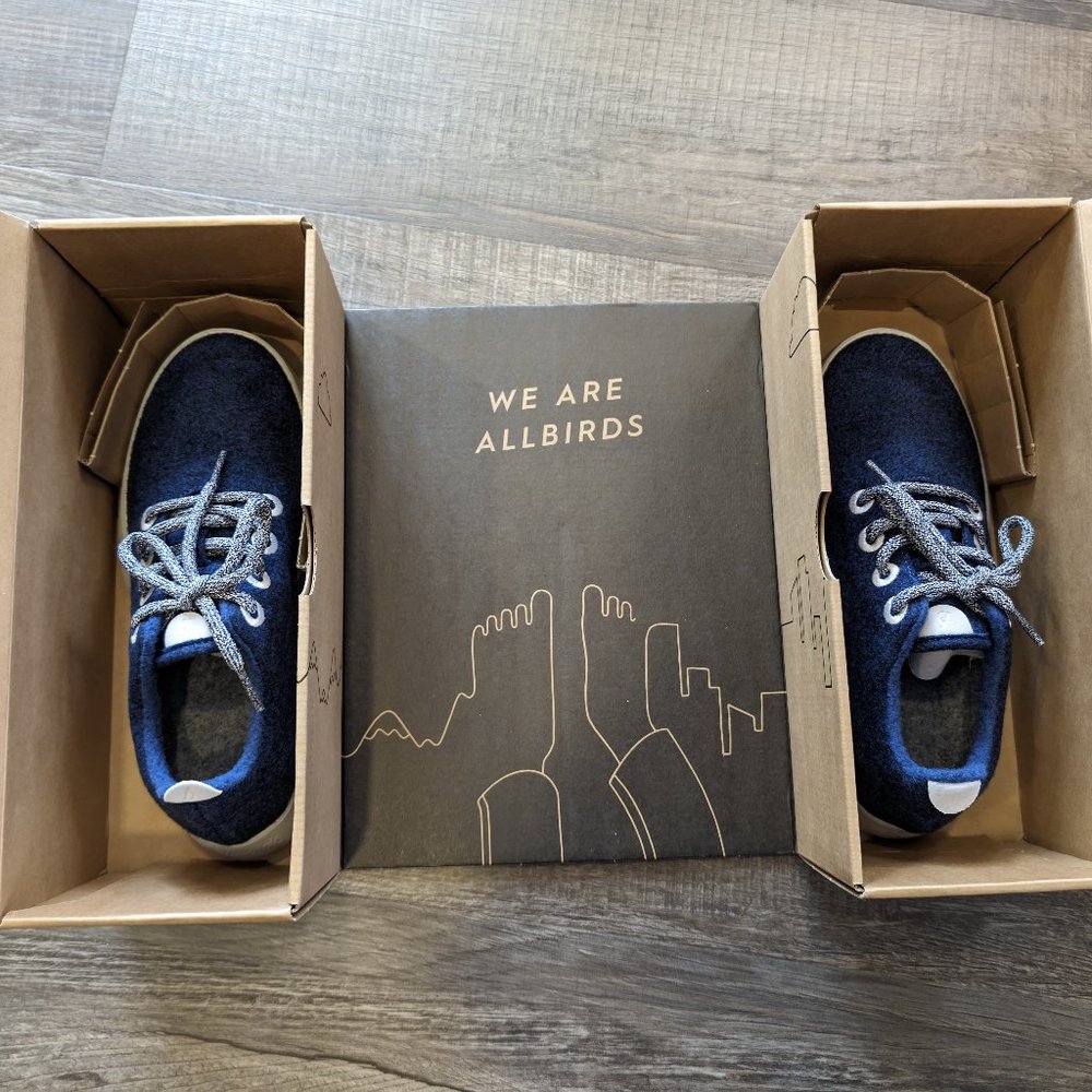 Original Allbirds Wool Runners